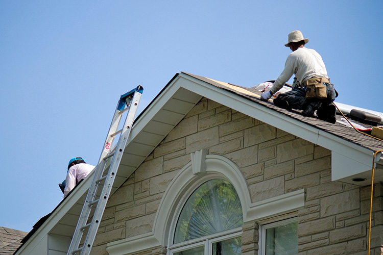 Renovation and Maintenance Services